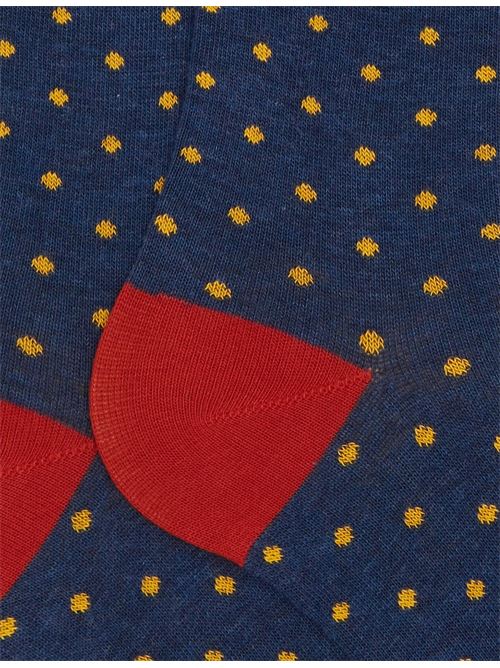 AP10301310737 FANTASIA gallo | AP10301310737 FANTASIA